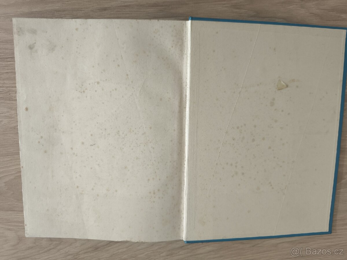 Das Ende Östrerreichs - 3