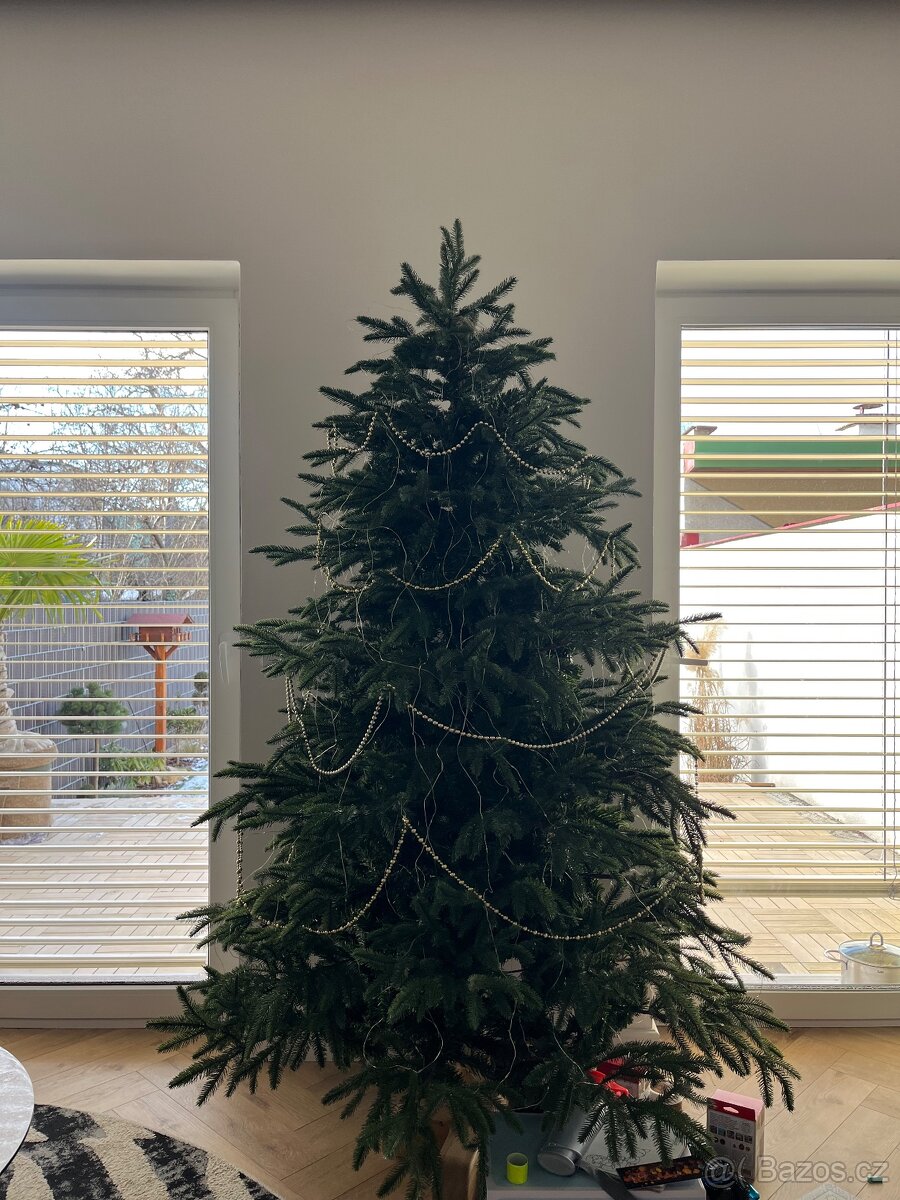 Vánoční stromek - 3