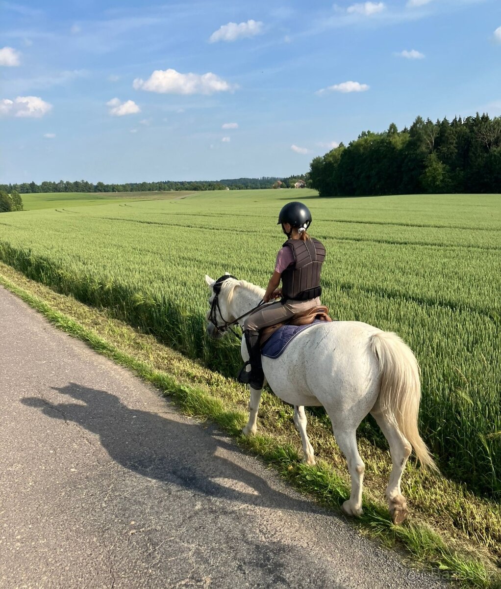 Pony, Cipísekek, 10 let 135cm ❤️🐎 - 3