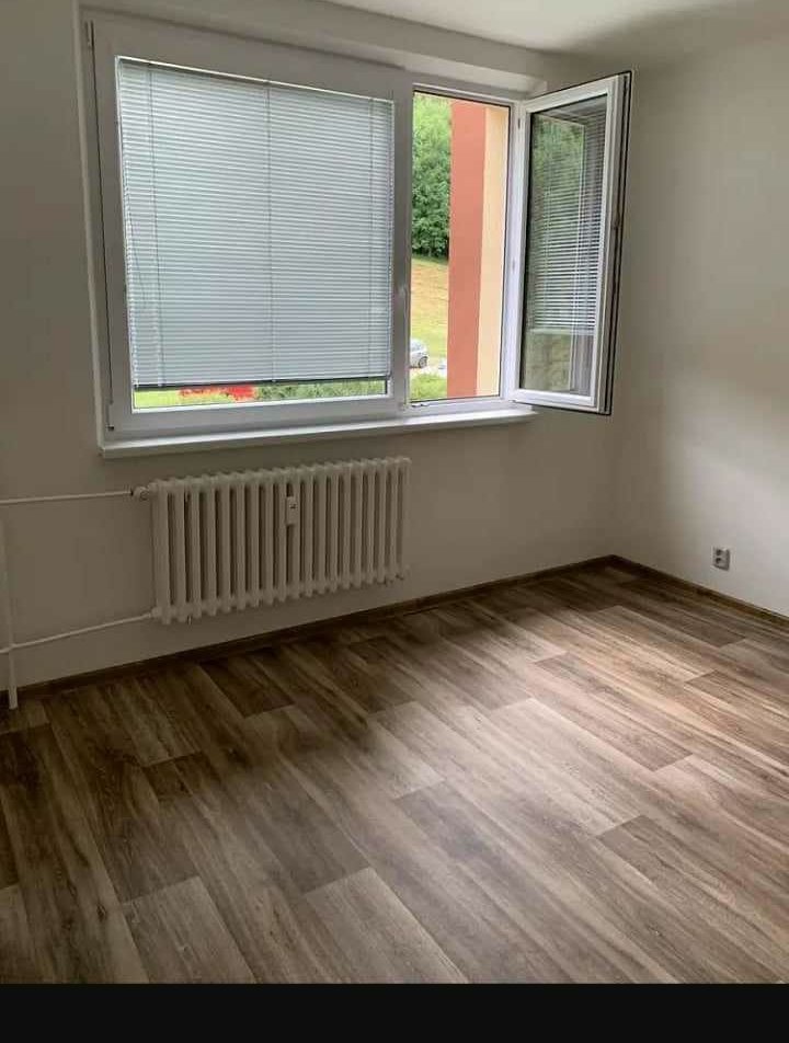 Pronájem bytu 2+1 - 3