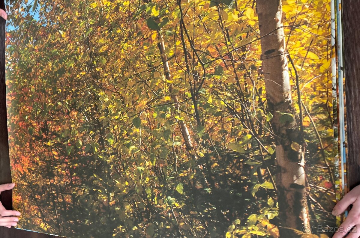 Obrazová tapeta Podzimní romance - 3