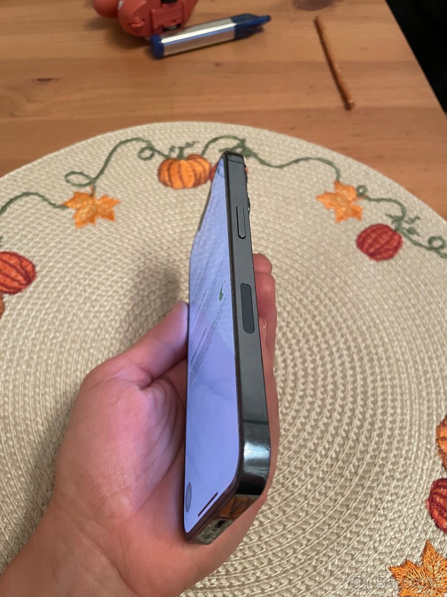 iPhone 13Pro 512gb modrý - 3