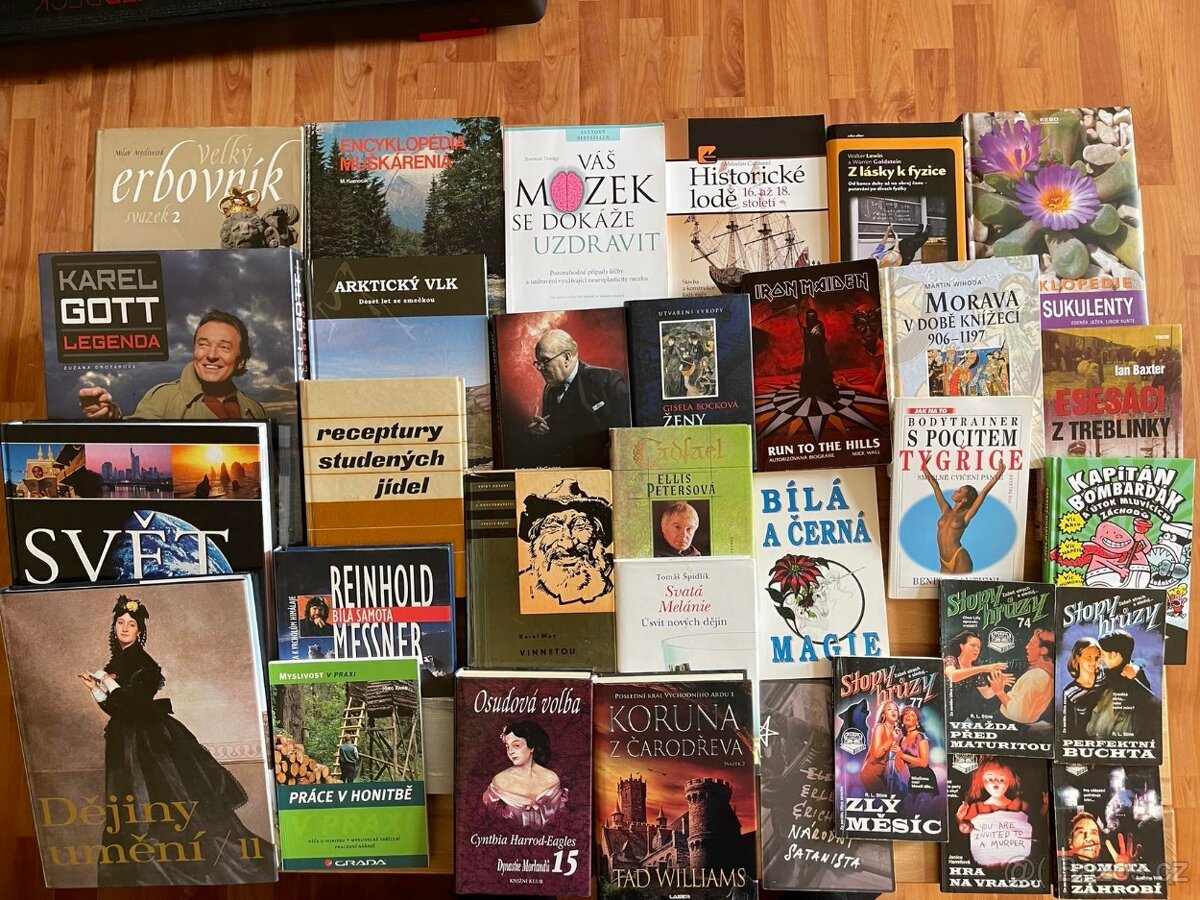 Musica humana,Proryvy,Zelený raoul,Selekce,Dějiny umění atd - 3