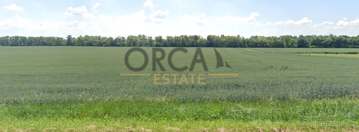 Prodej pozemku v k.ú. Přítluky o výměře 2963 m2 - 3