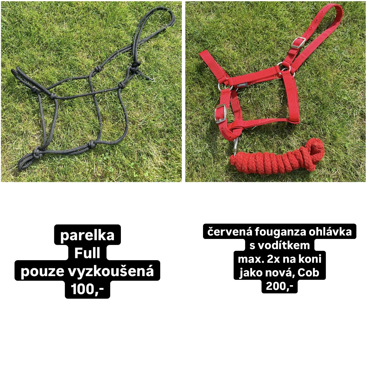 Prodám více věcí na koně - 3