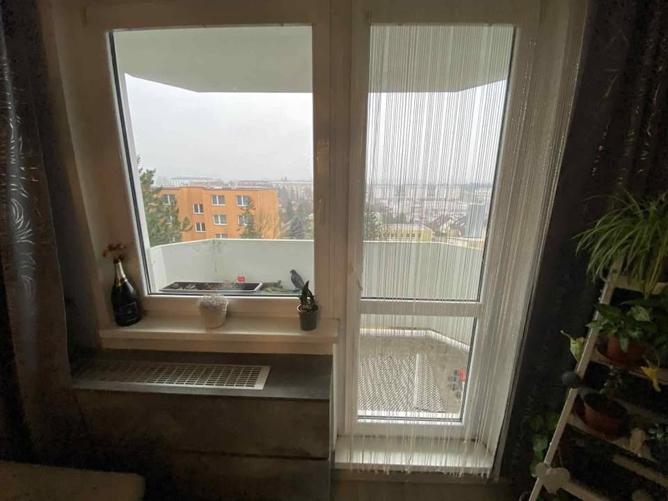 Pronájem bytu 2+1 - 3