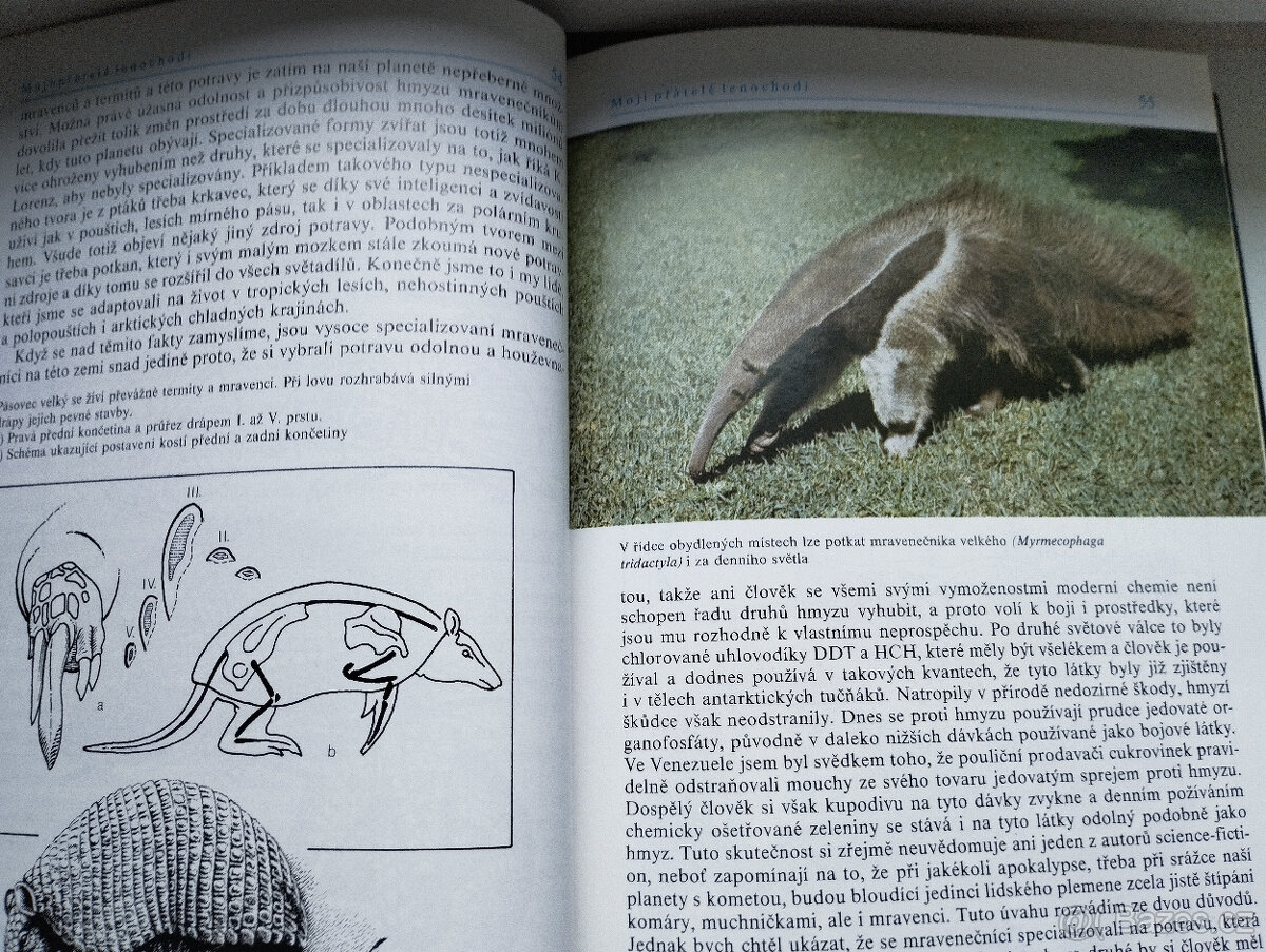 K pramenům Orinoka, Zdeněk Veselovský - 3