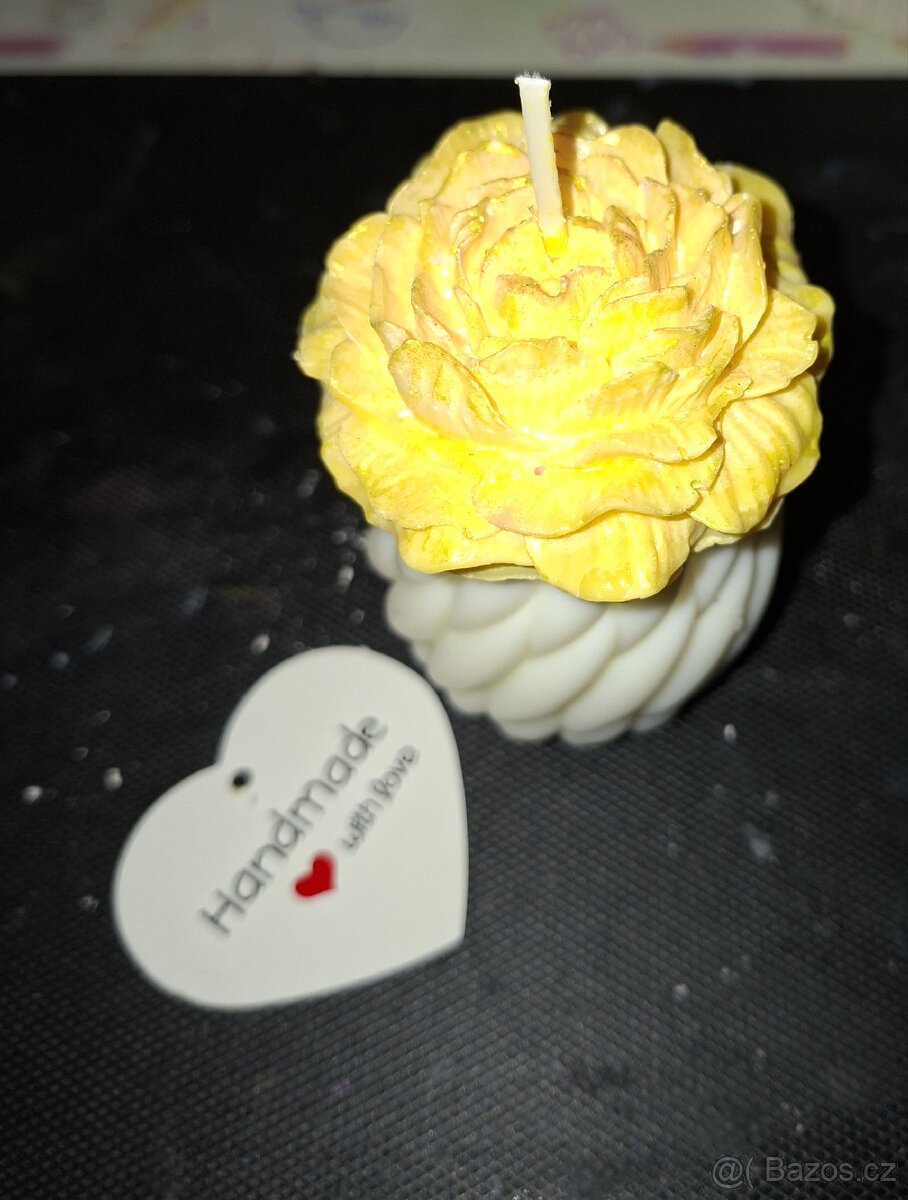 Svicka žlutá růže - 3