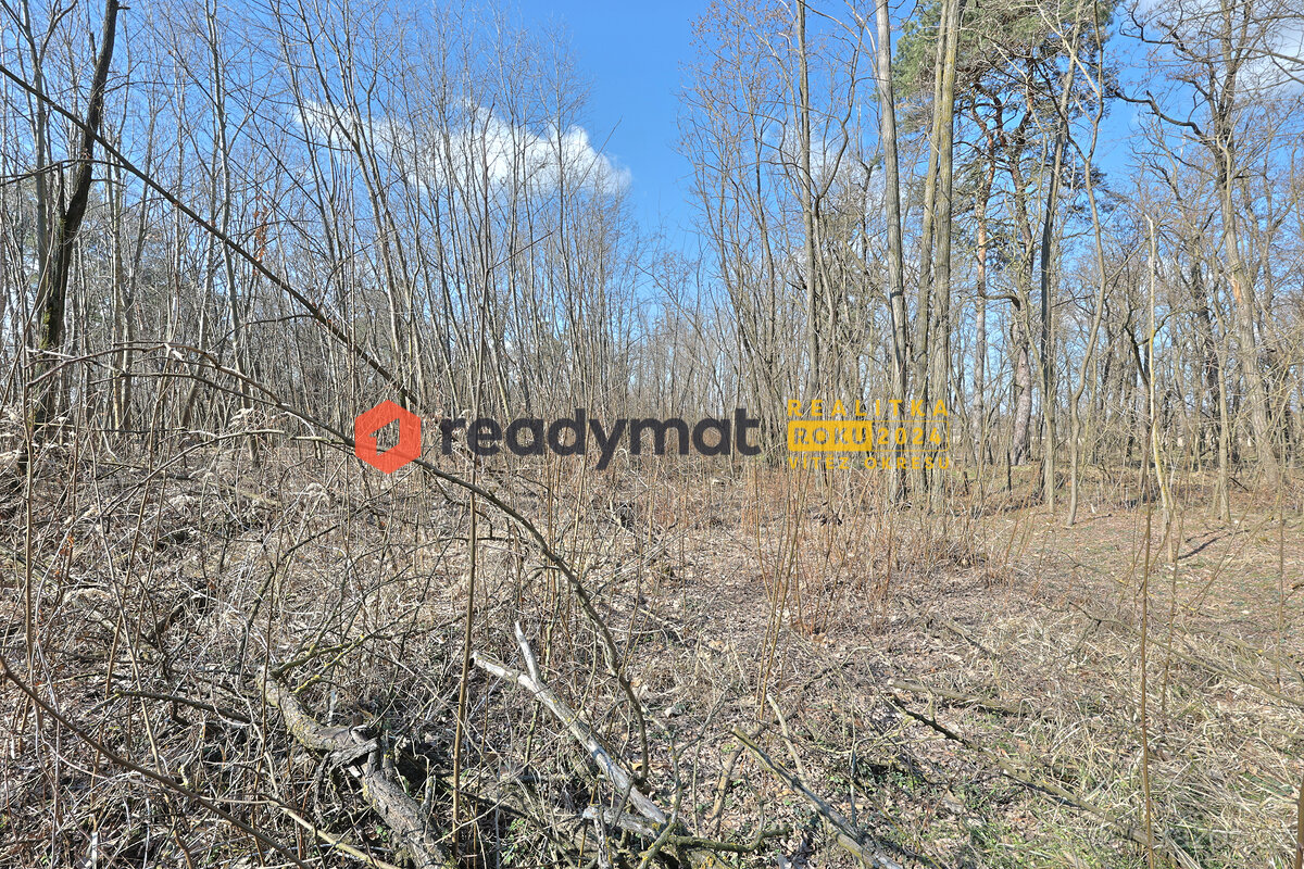 Prodej lesa, Dubňany, 5 323 m2 - 3