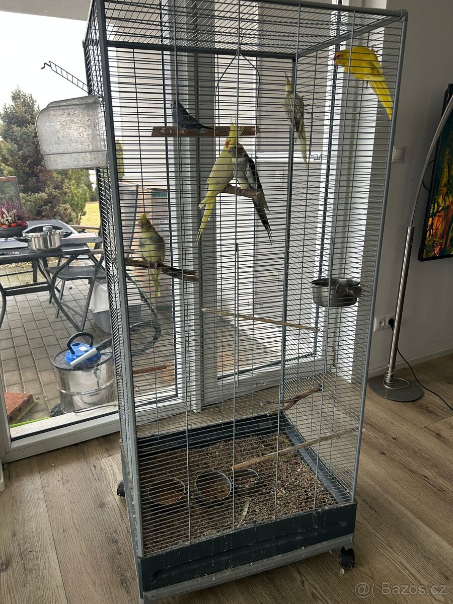 Velká klec + 6 papoušků - 3