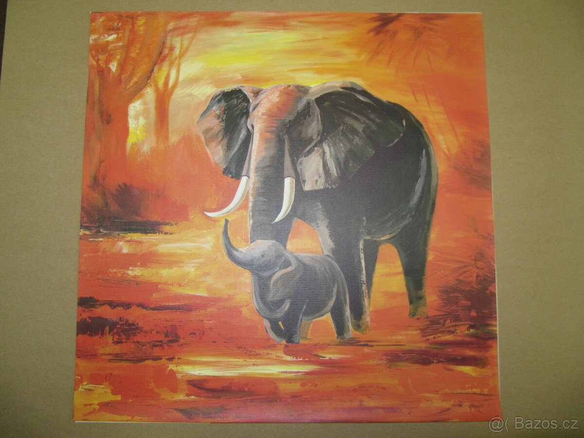 Motivy,obrazy,foto,plakáty. - 3