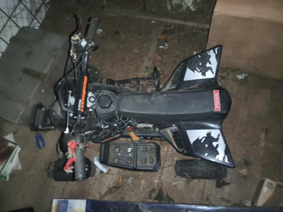 Prodám jen jednou jetou dětskou čtyřkolku - 3