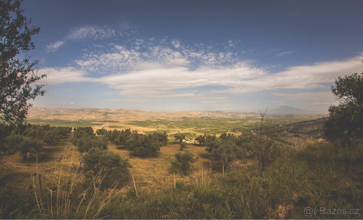 Panenský olivový olej - 3