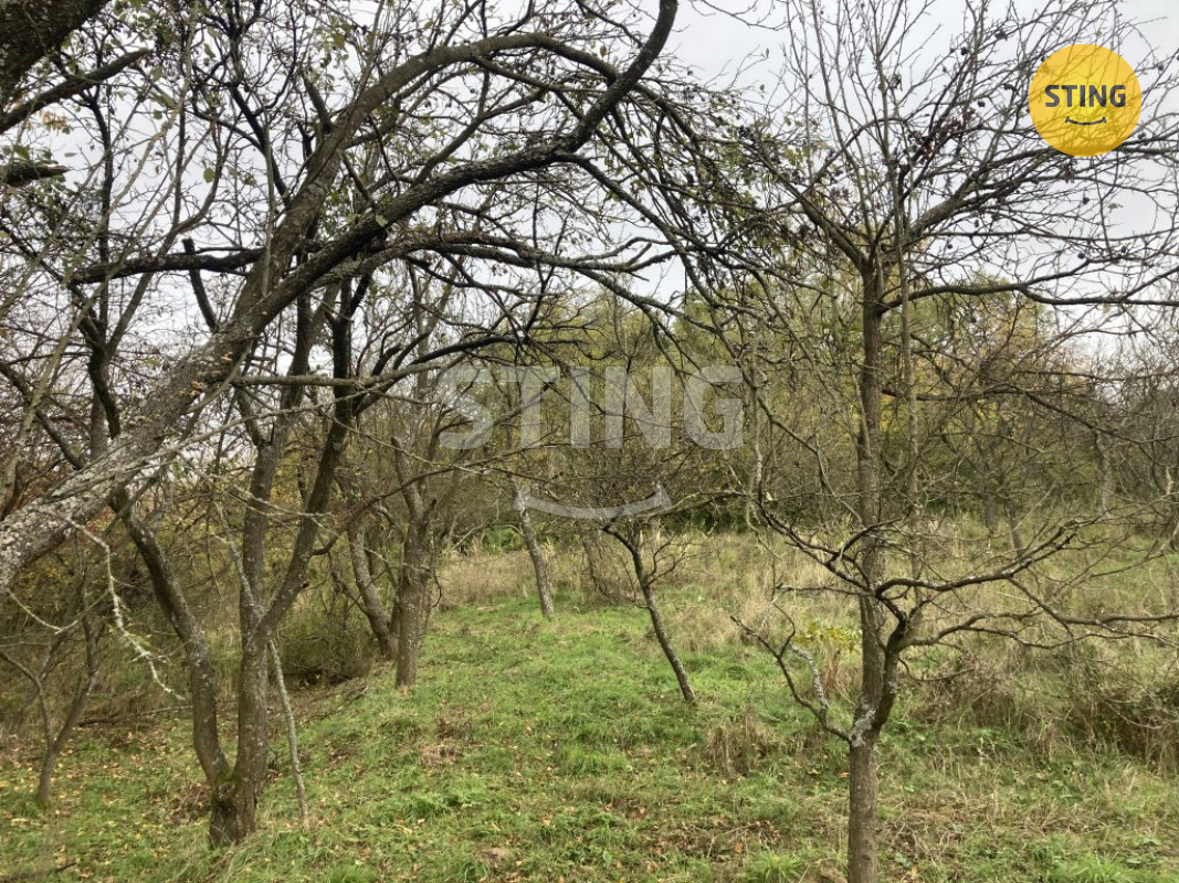 Prodej ovocného sadu 4839m2, 133768 - 3