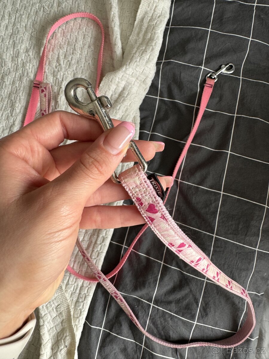 Vodítka pro psy - 3