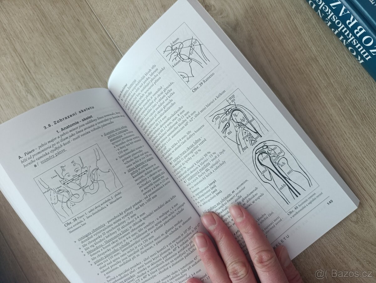 Radiologické nálezy : jak je psát a interpretovat - 3