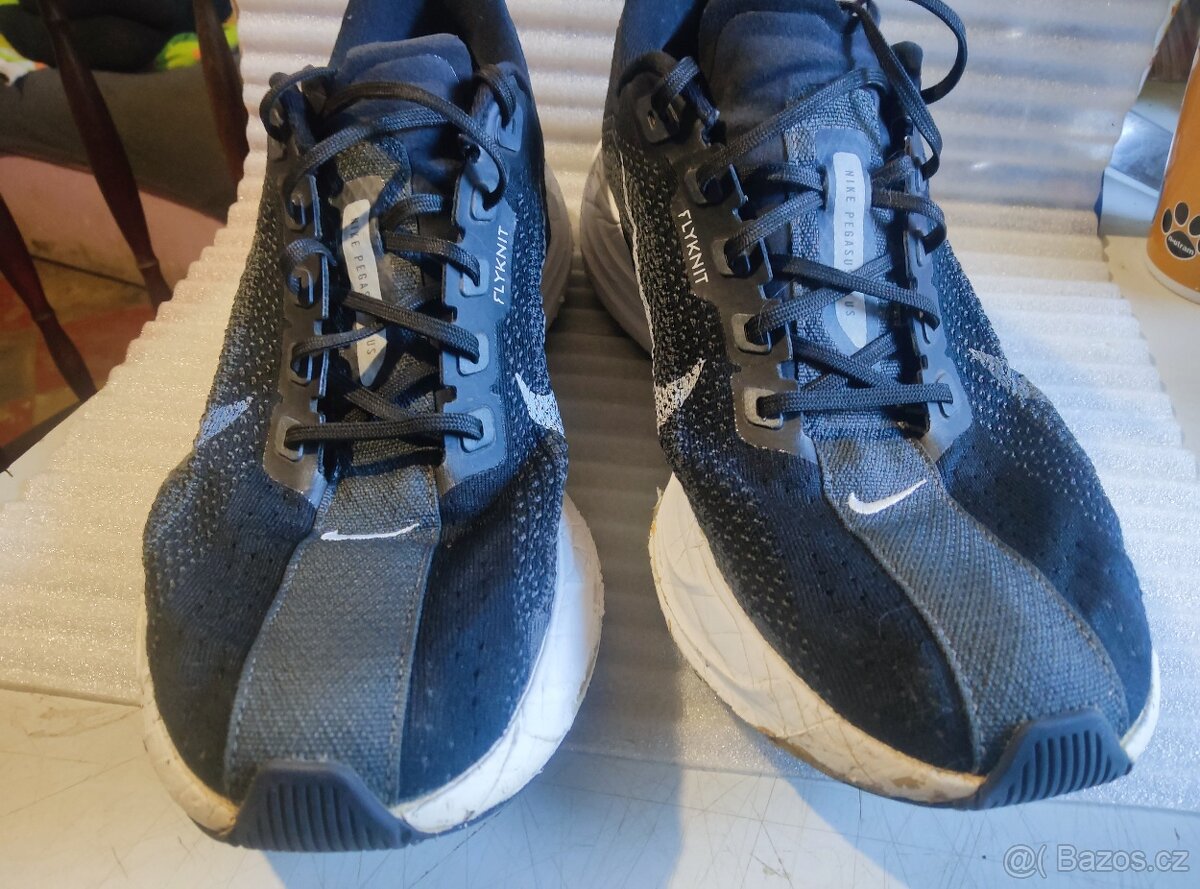 Nike Pegasus Plus č. 45 - 3