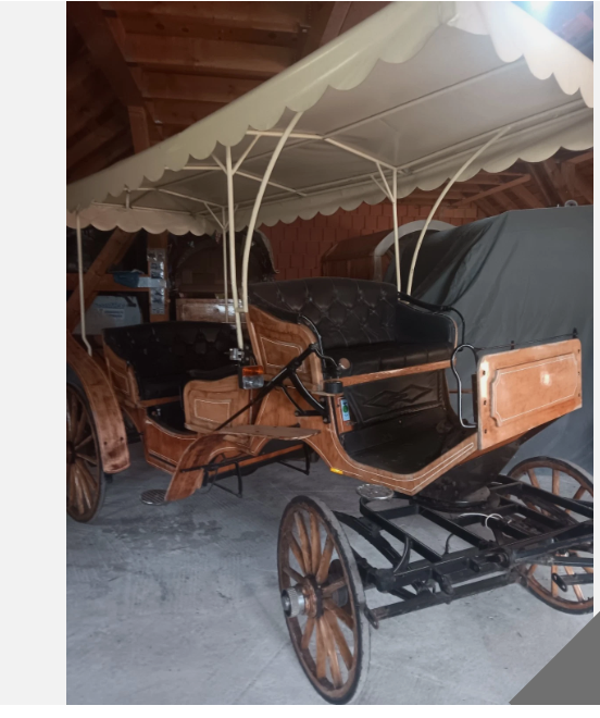 Střecha ke kočáru - 3