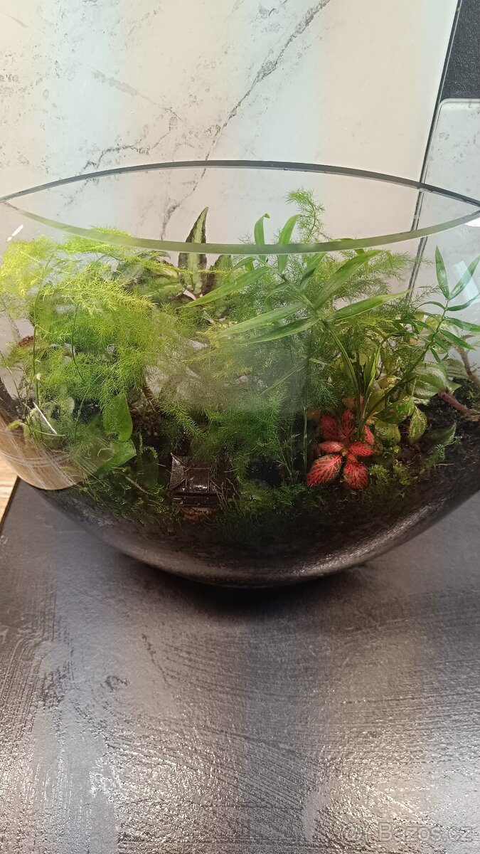 Mossarium - 3