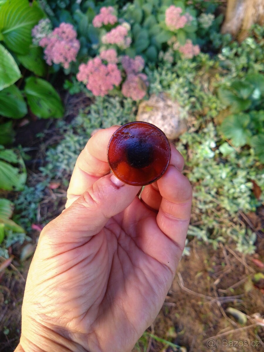 Laboratorní skenice - 3