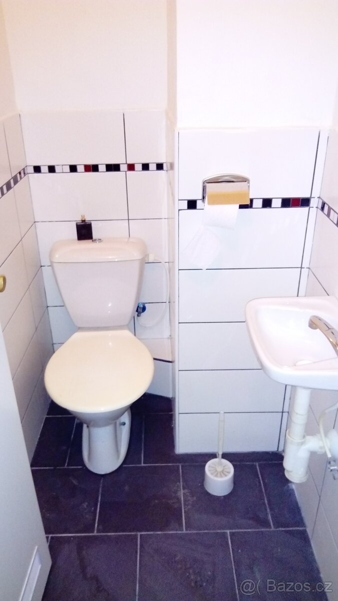 Pronájem 1+1 - 3