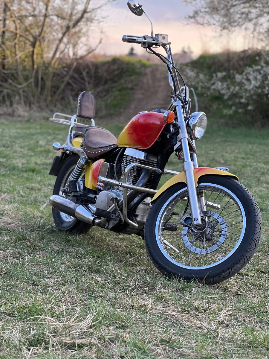 Suzuki LS 650 Savage - 3