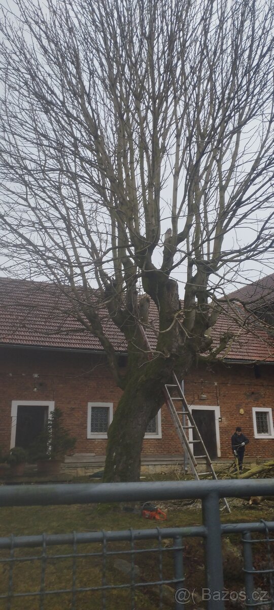 Mulčovací kůra stepka - 3