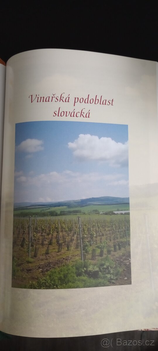 Víno s možností archivace - 3