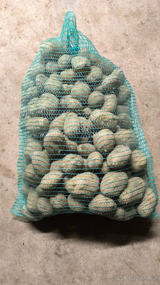 Brambory na uskladnění - 3