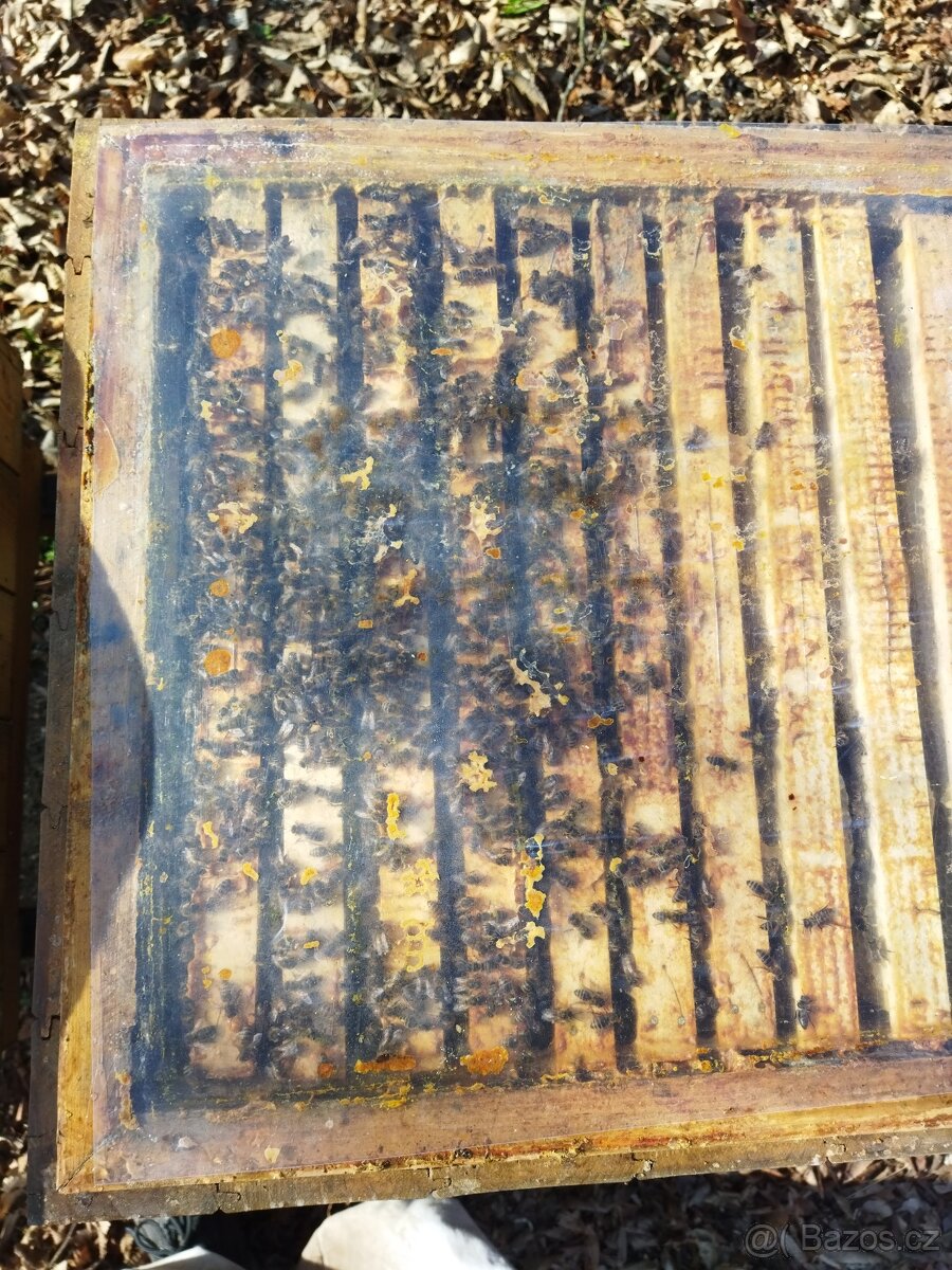 Vyzimovaná včelstva - 3