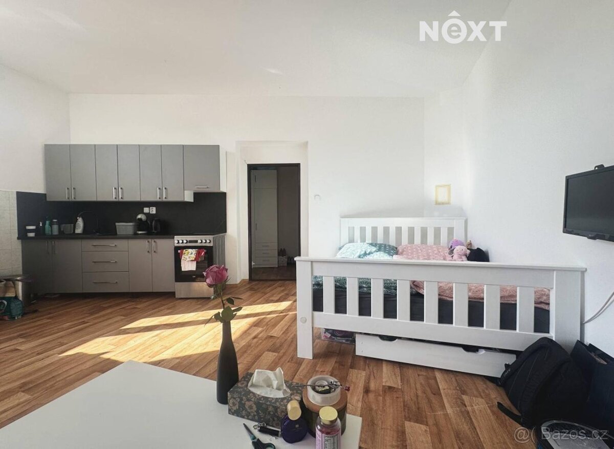 Pronájem byt 1+kk, 47㎡ - 3