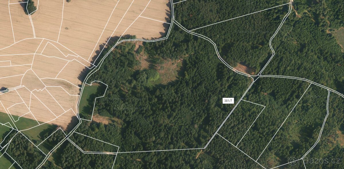 Prodej lesa Klisín 15,4293ha - 3