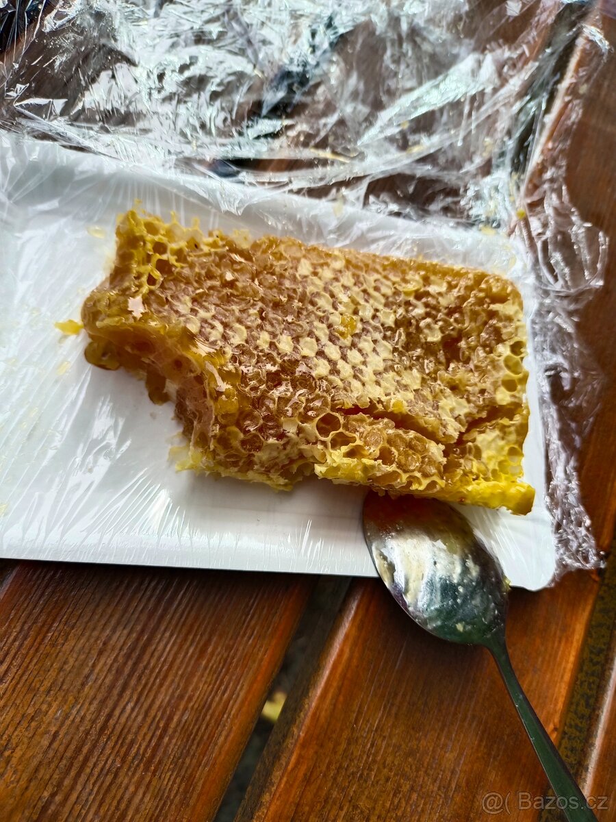 Med lesní právě vytočený za 190 Kč/kg + sklenice s sebou - 3