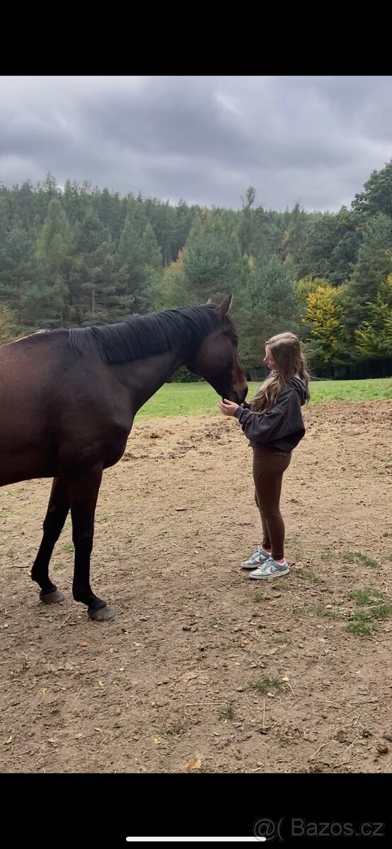 Nabízím k pronájmu - 3