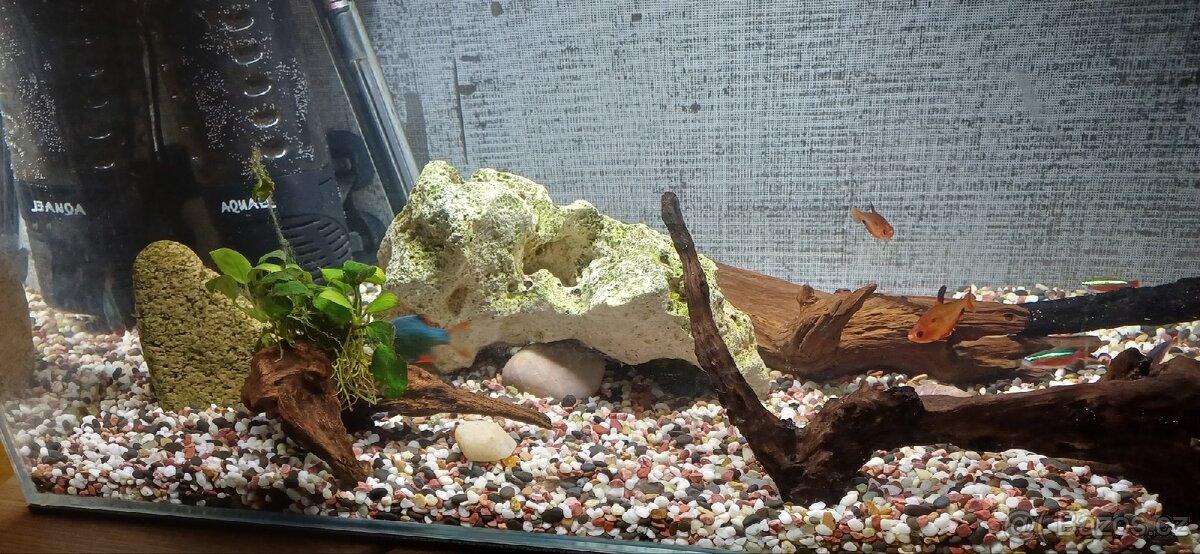 Zařízené akvárium - 3