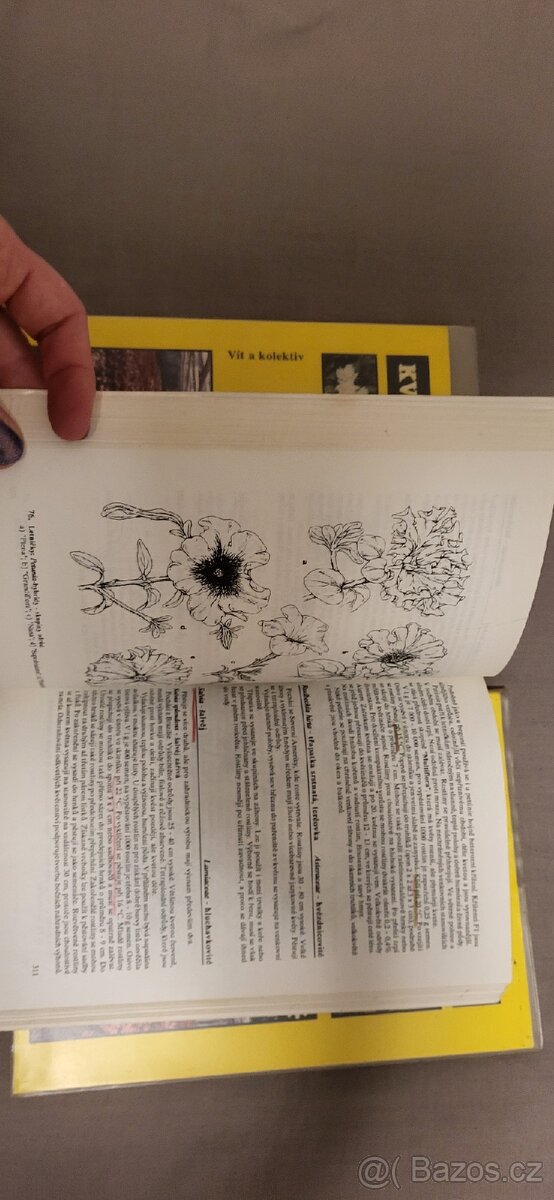 Květinářství Vít a kolektiv - 3