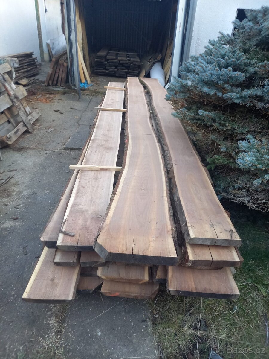 Americký ořech / ořešák černý - 3