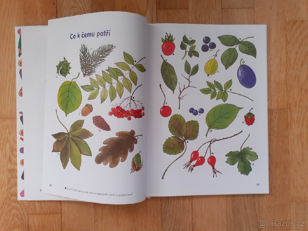 Velký rádce předškoláka - 3