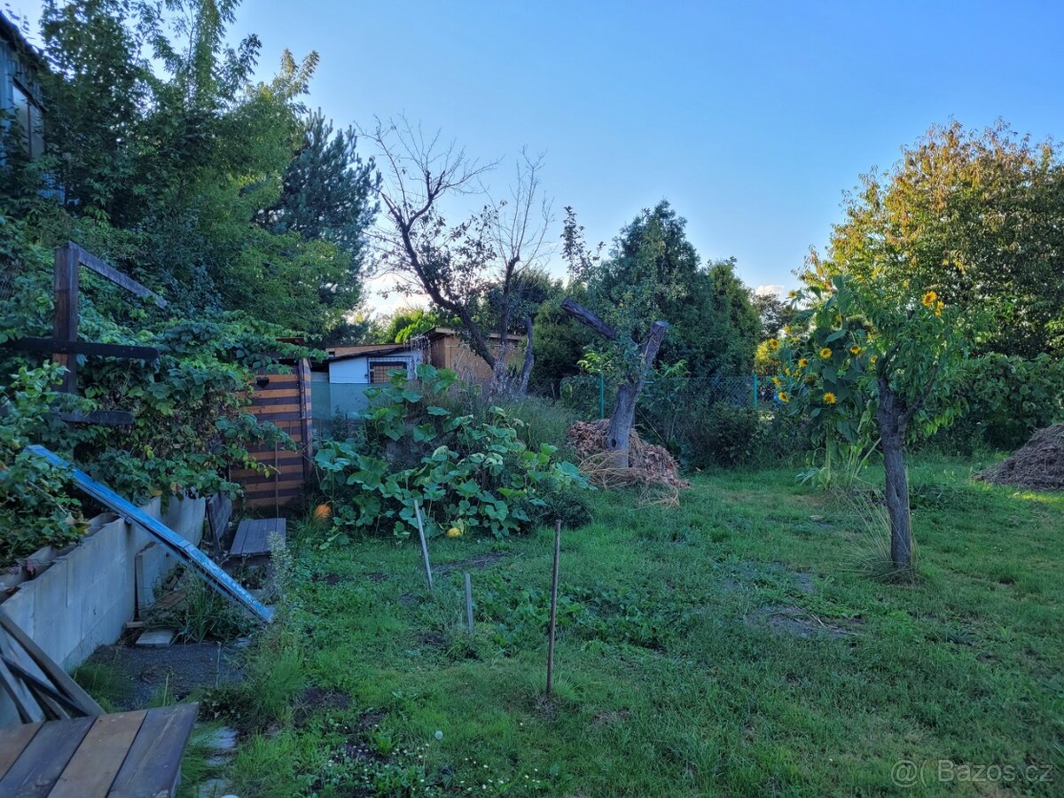Zahrada Opava - 3