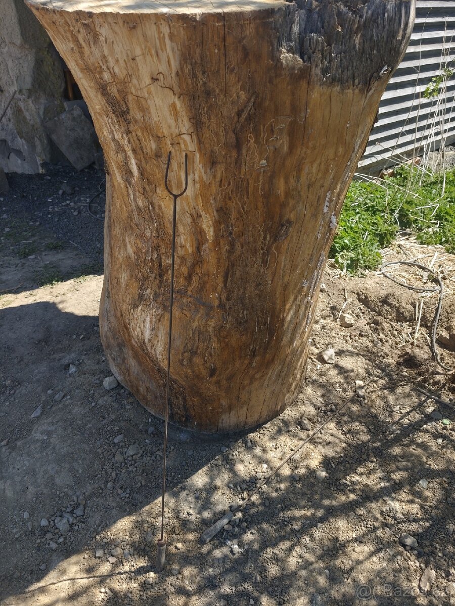 Jasanový dvoják - 3
