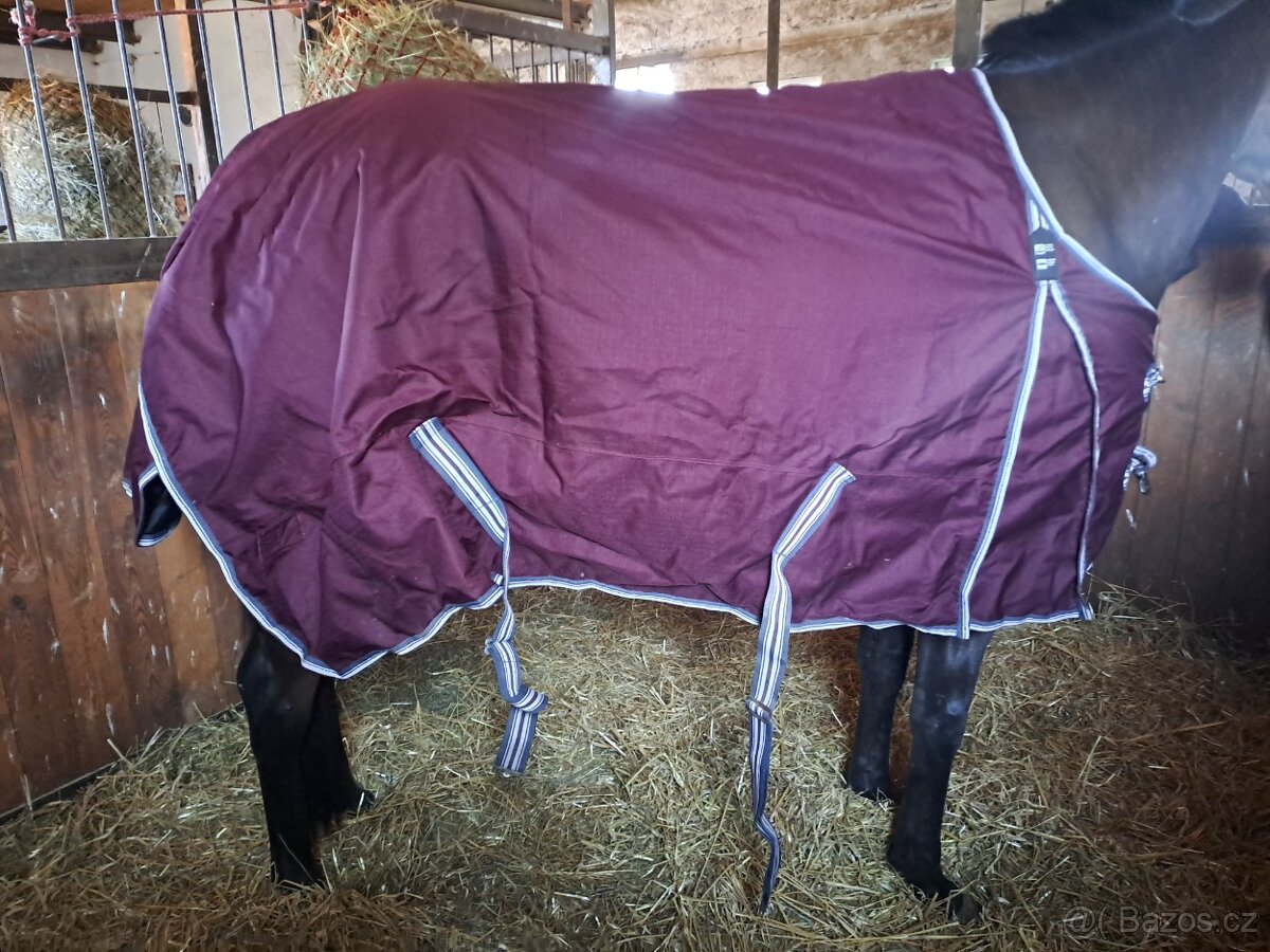 Mnoho věcí na kone - 3