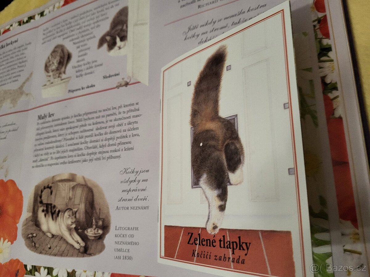 KOČKY pro děti - 3