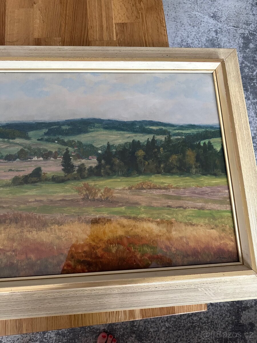 Obraz Jaromír Trojan Vysočina - 3