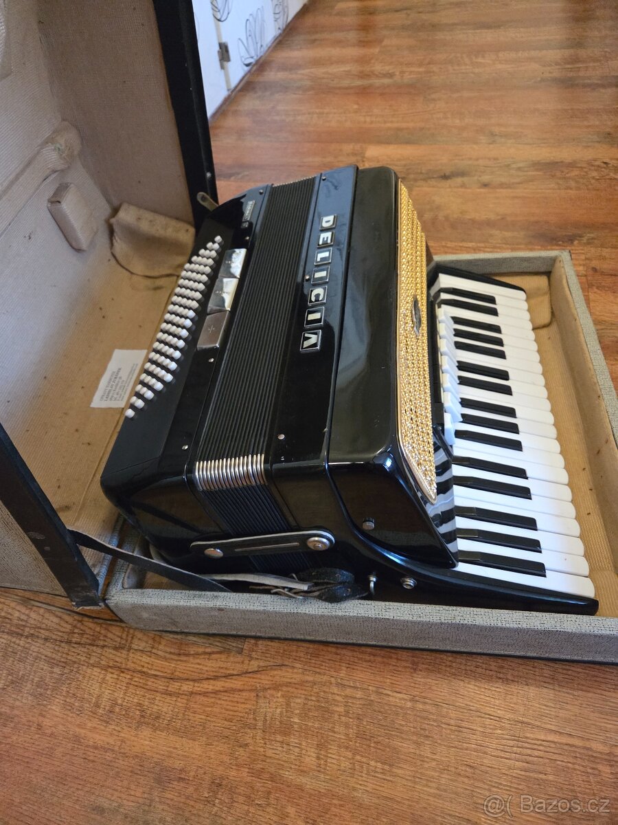 Harmonika Delicia Carmen II. - funkční - 3