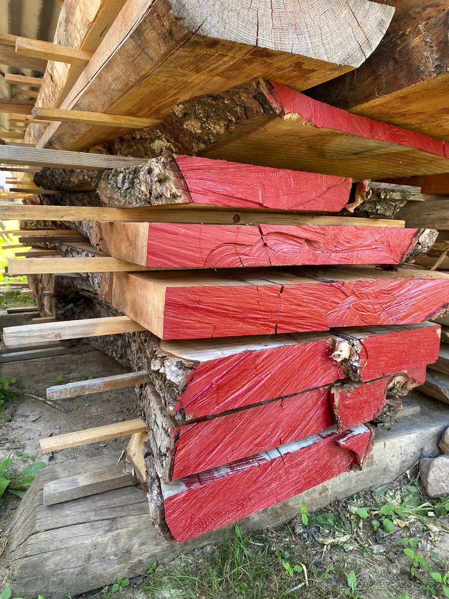 Fošny ořešáku - 3