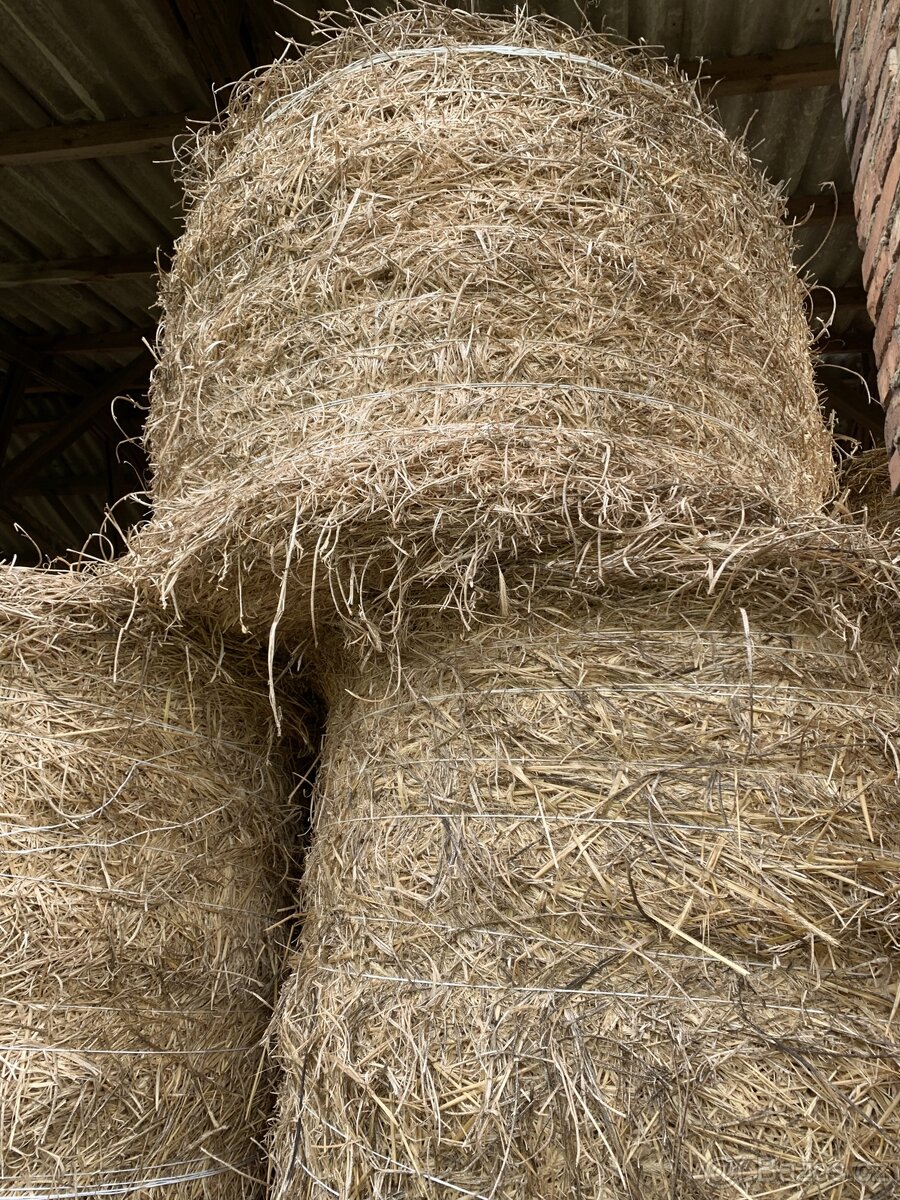 Nová sklizeň Vojtěškové seno,vojtěška,jetel ,sláma - 3