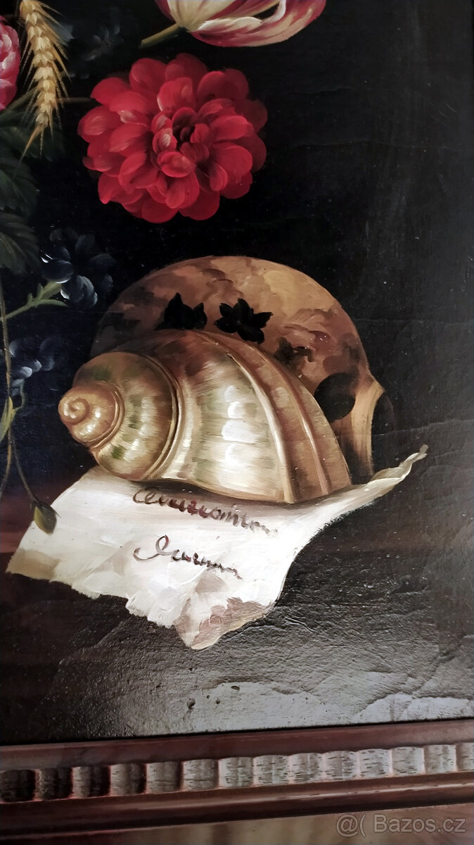 Zátiší Adriaen Coorte - 3