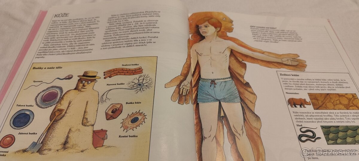 Lidské tělo - kniha pro mládež o fungování lidského těla - 3