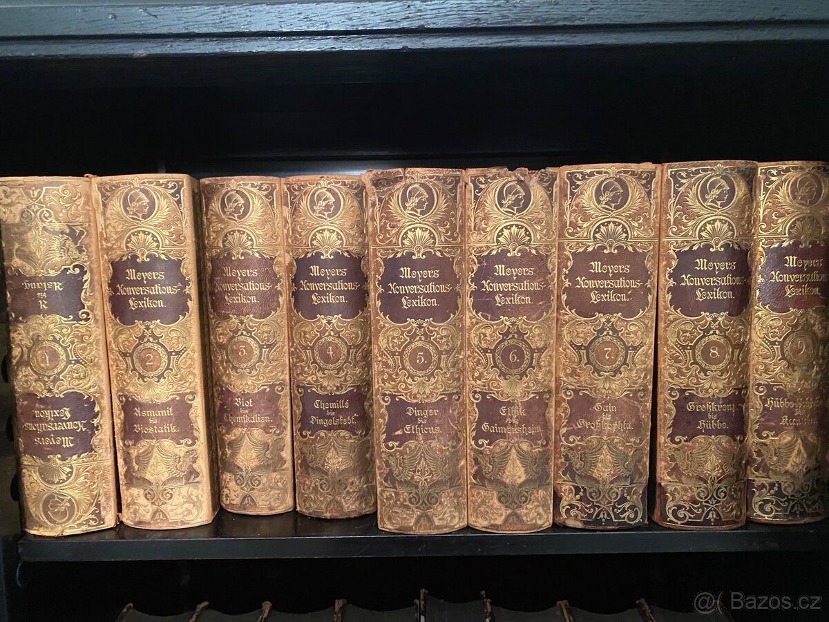 Meyer Konversations Lexikon Luxus Ausgabe - 3