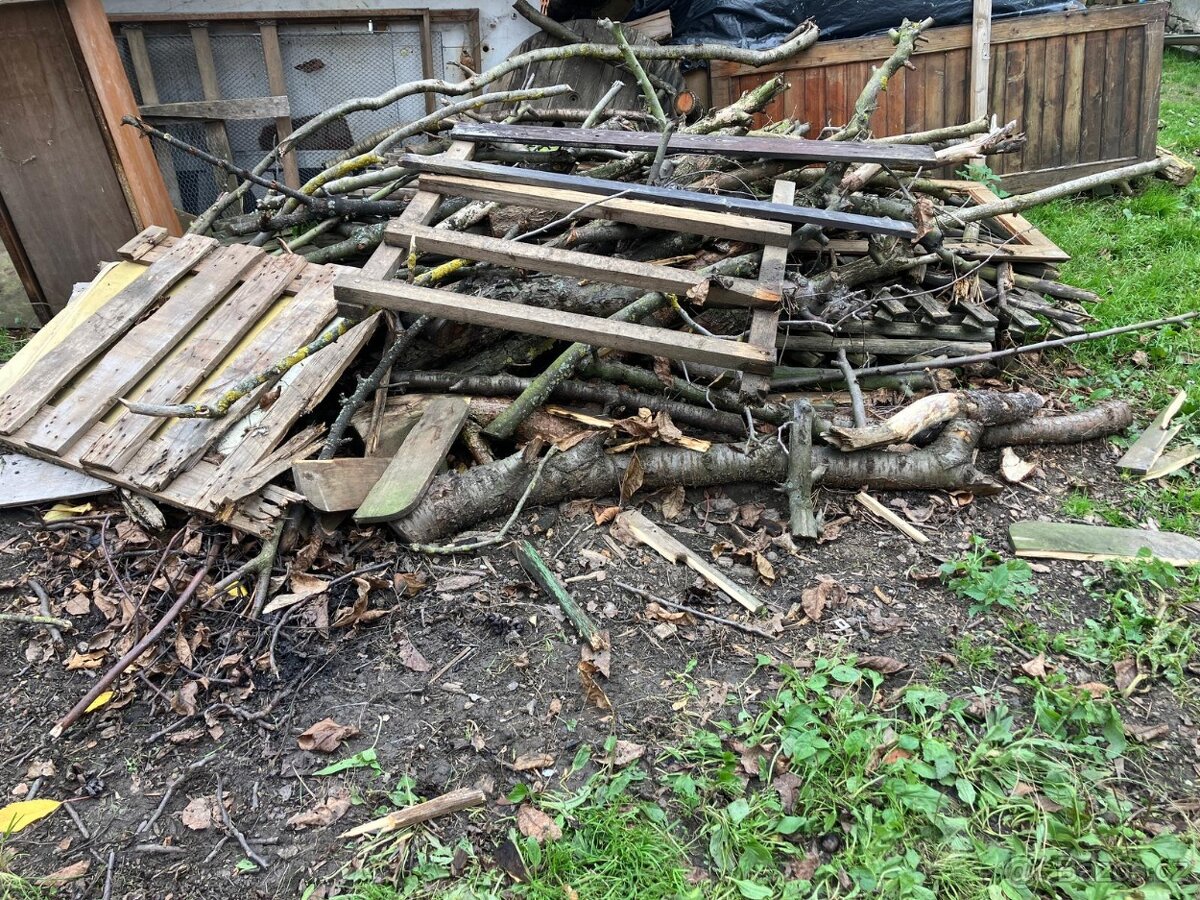Zdarma za odvoz dřevo - 3